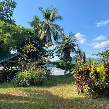 Port Barton - Paradiso Azul Campsite Beachfront With Internet San Vicente  Exteriör bild