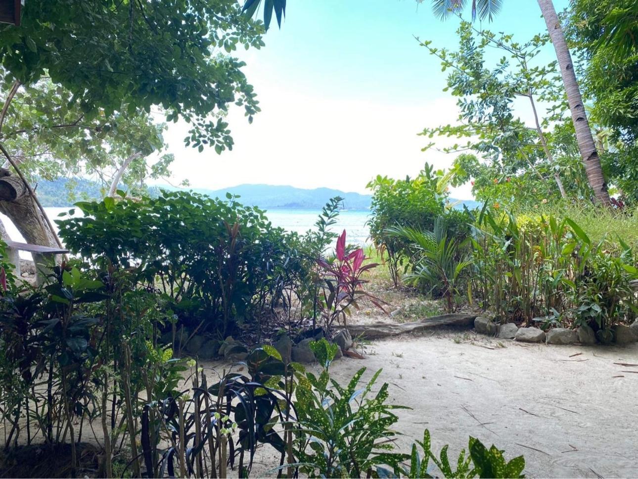 Port Barton - Paradiso Azul Campsite Beachfront With Internet San Vicente  Exteriör bild