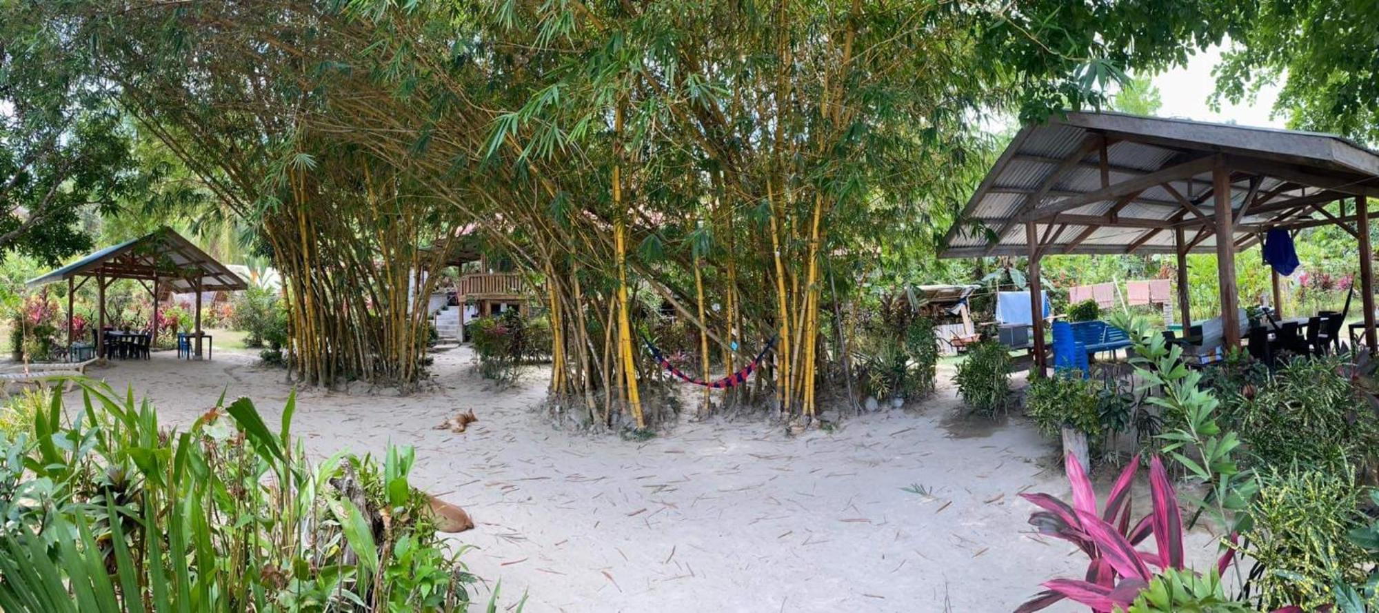 Port Barton - Paradiso Azul Campsite Beachfront With Internet San Vicente  Exteriör bild