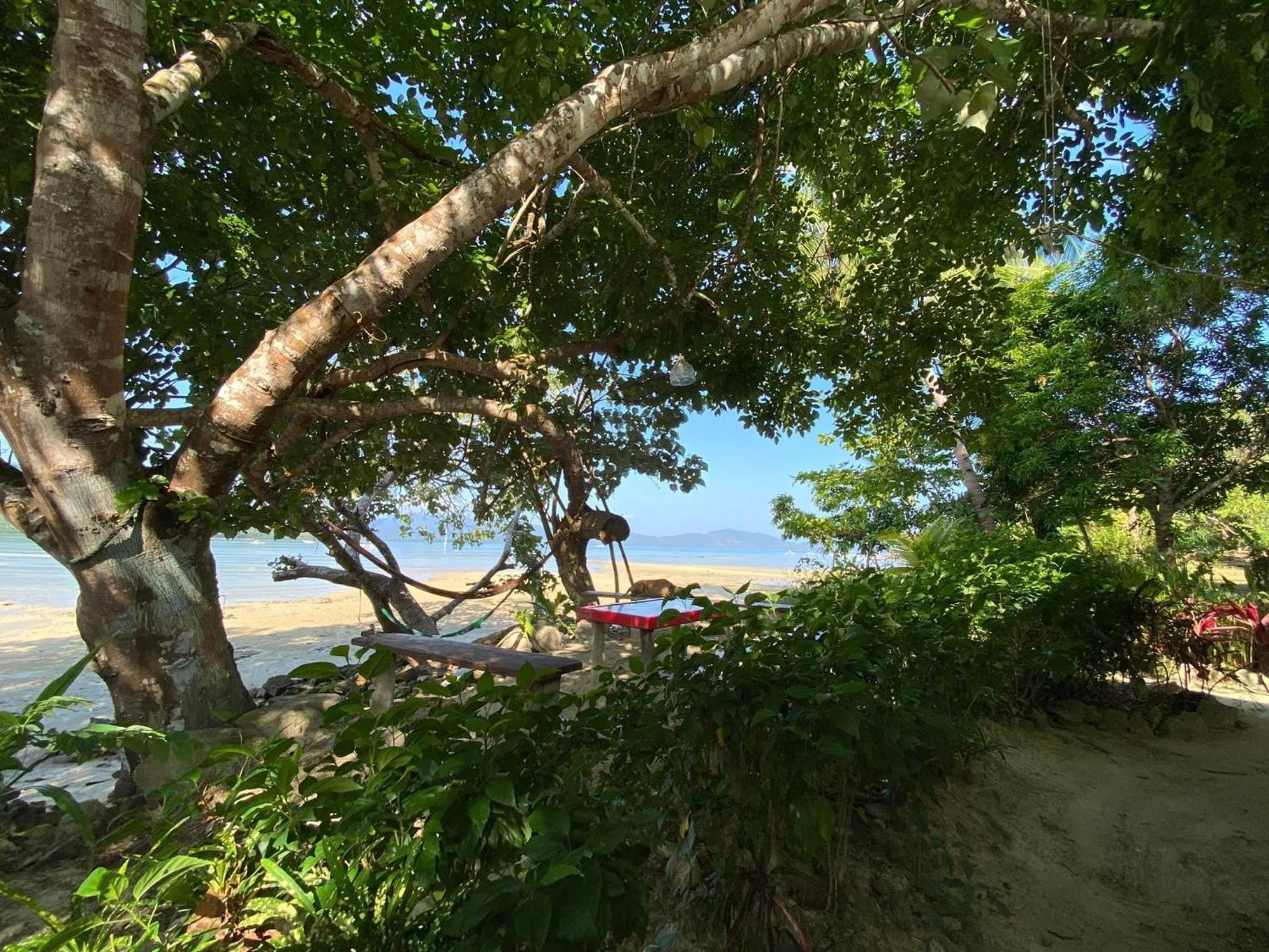 Port Barton - Paradiso Azul Campsite Beachfront With Internet San Vicente  Exteriör bild