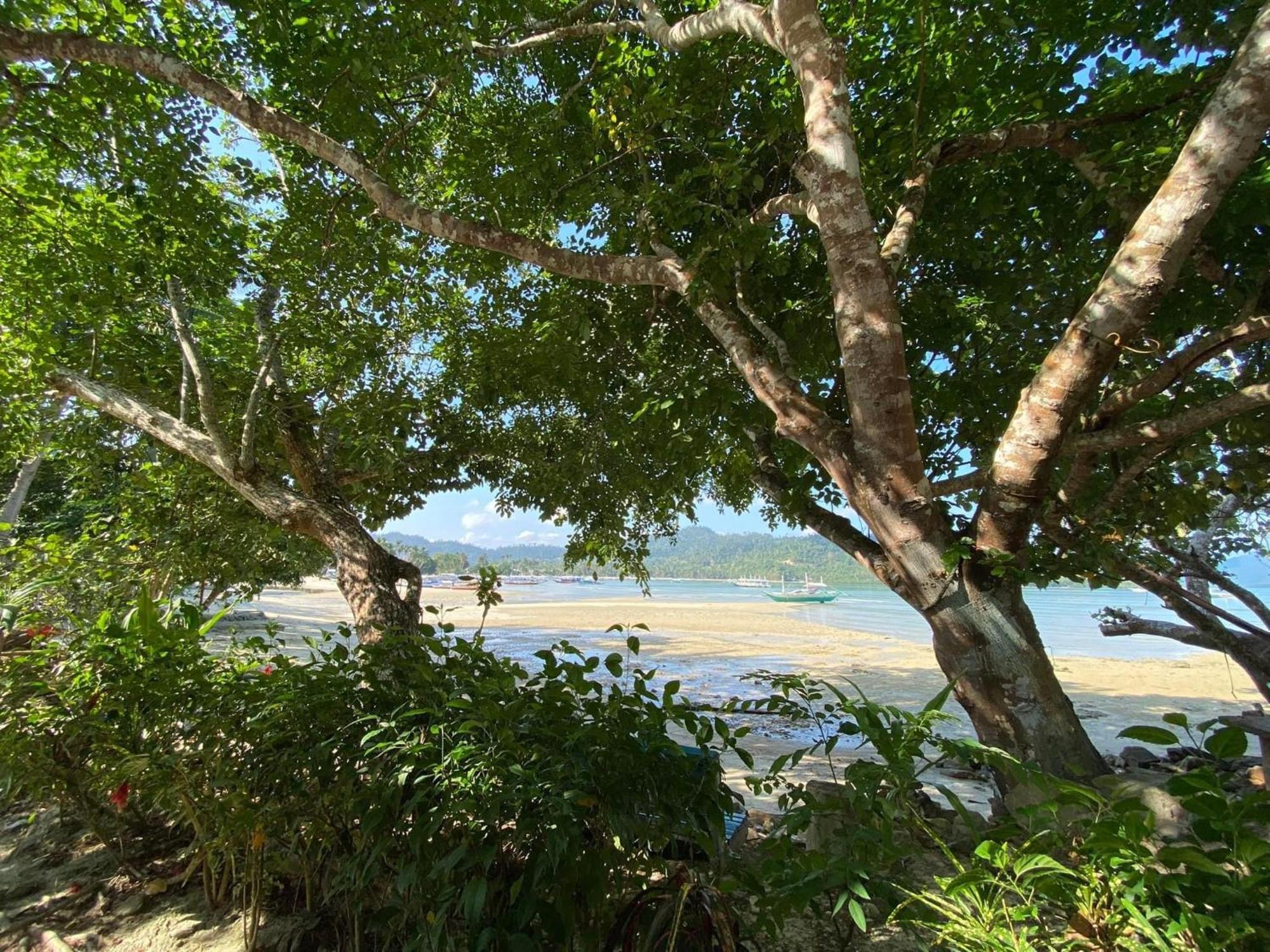 Port Barton - Paradiso Azul Campsite Beachfront With Internet San Vicente  Exteriör bild