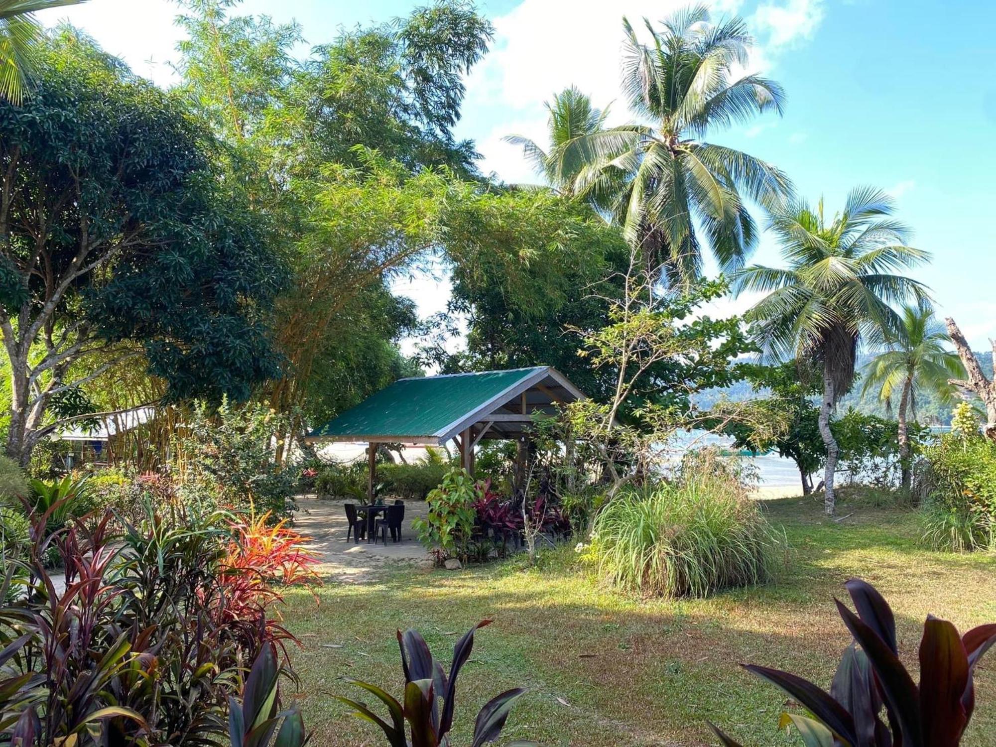Port Barton - Paradiso Azul Campsite Beachfront With Internet San Vicente  Exteriör bild
